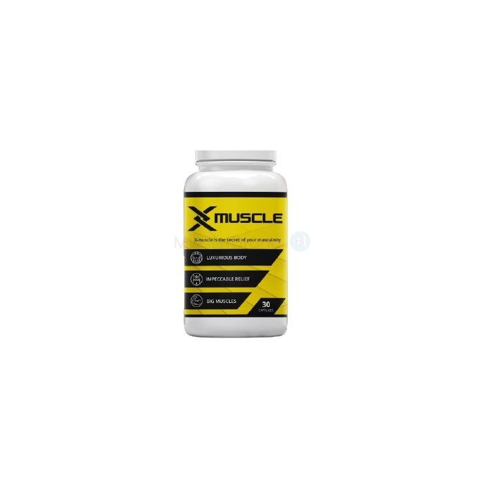 X-Muscle ✅ para a construción muscular en Valencia