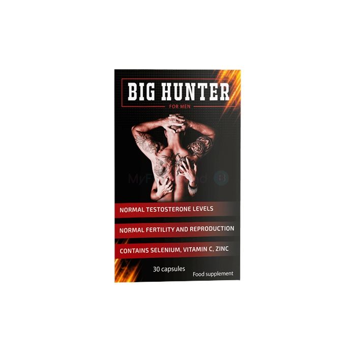 Big Hunter ✅ capsules pour la prostatite en latin