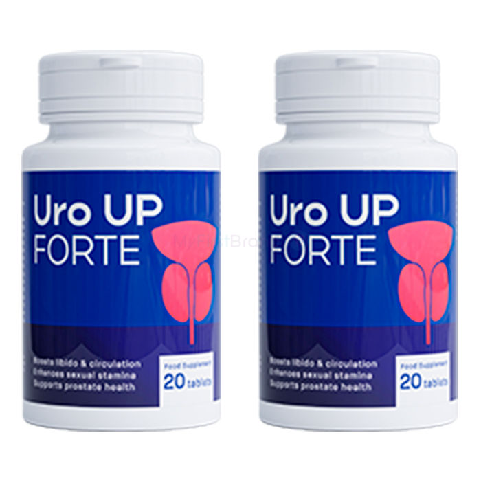 Uro Up Forte ✅ proizvod za zdravlje prostate u Chemnitzu